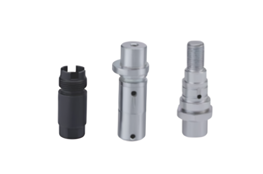 Forest with light rays