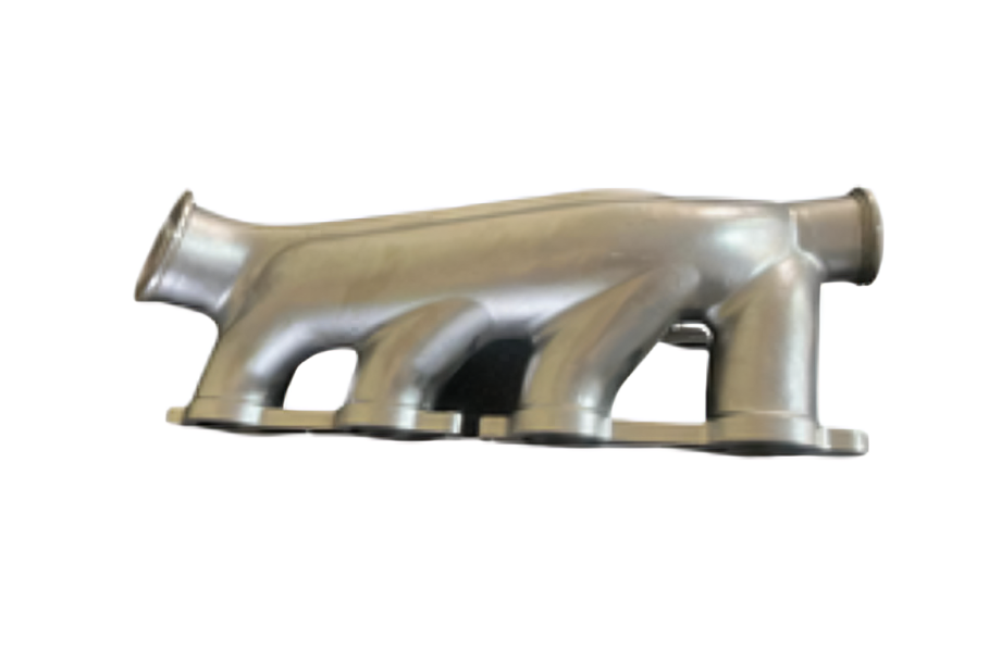 Forest with light rays