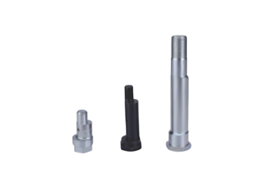 Forest with light rays