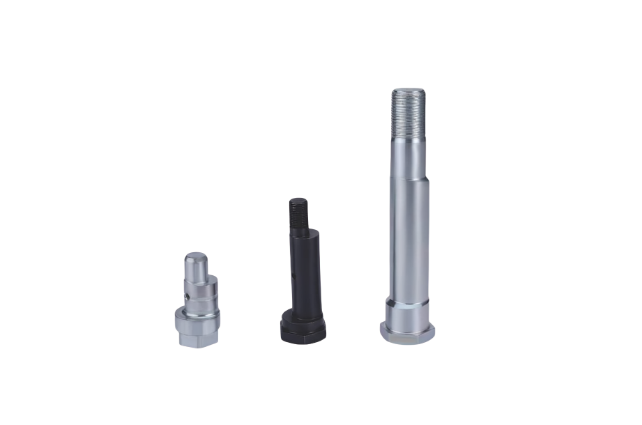 Forest with light rays (full)