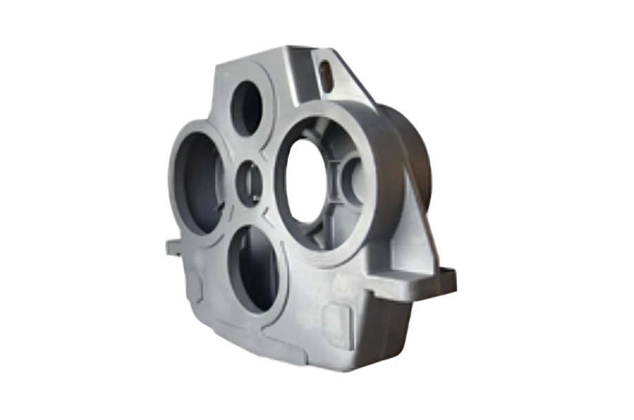 Forest with light rays