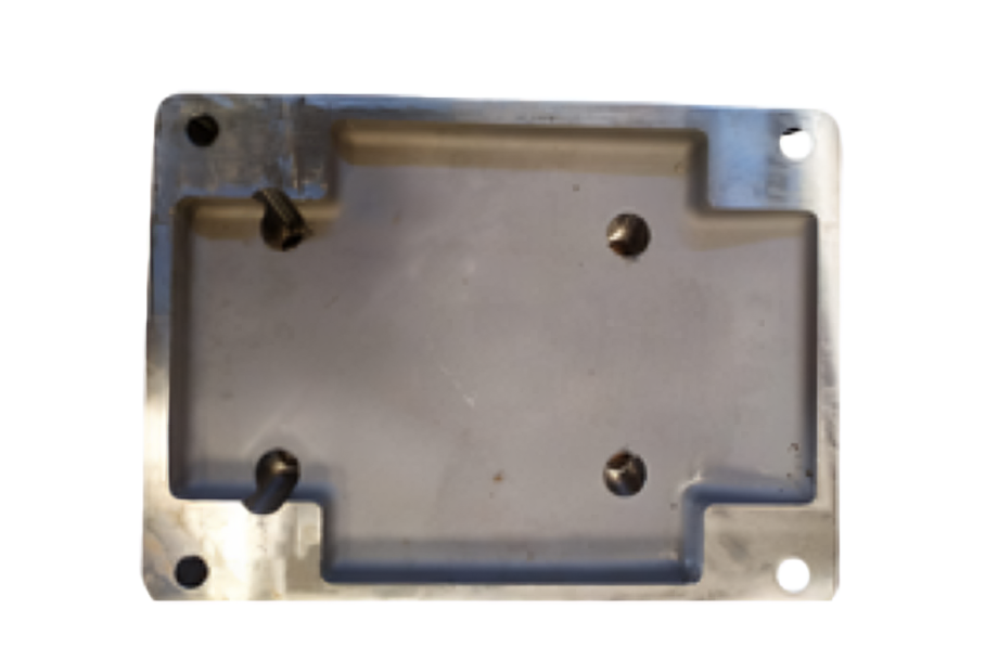 Forest with light rays