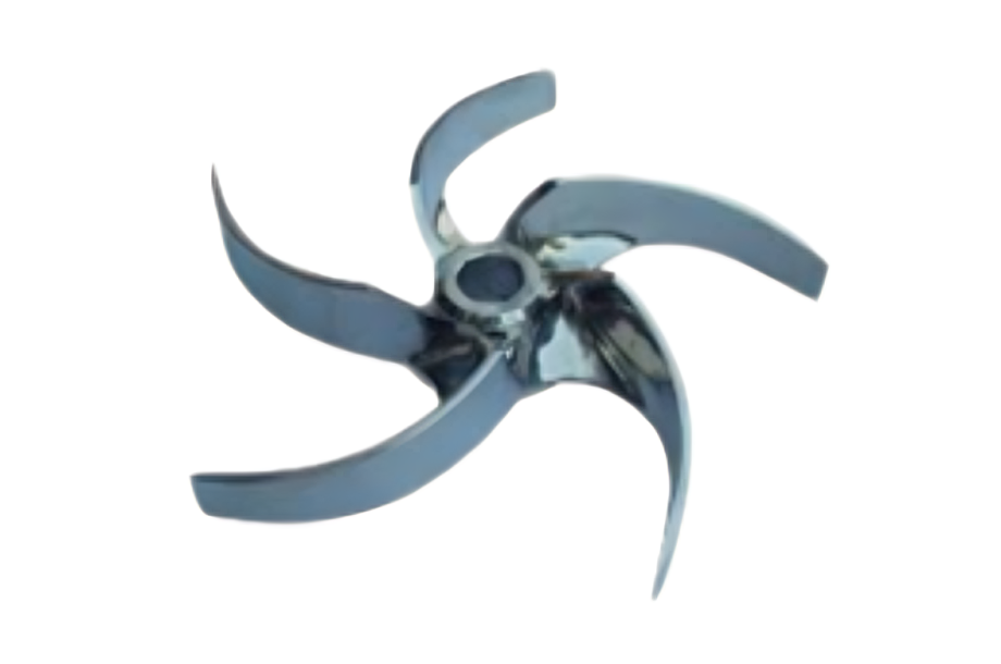 Forest with light rays