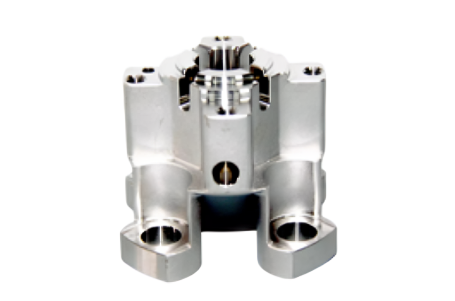 Forest with light rays