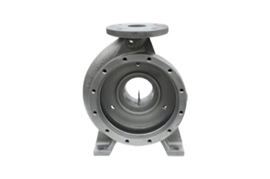 Forest with light rays