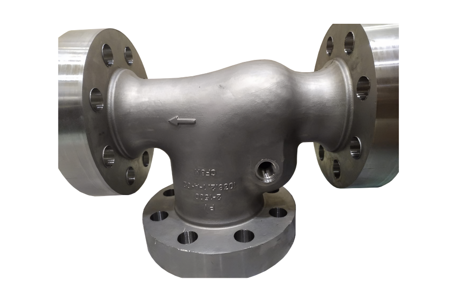 Forest with light rays (full)