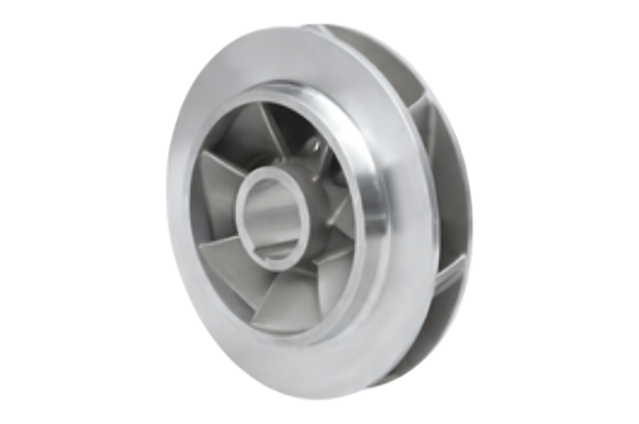 Forest with light rays