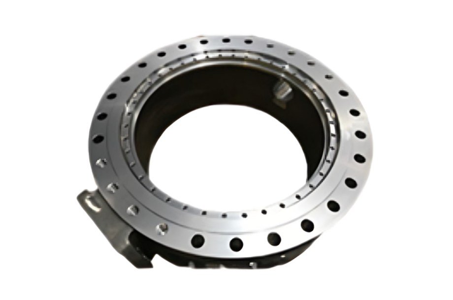 Forest with light rays