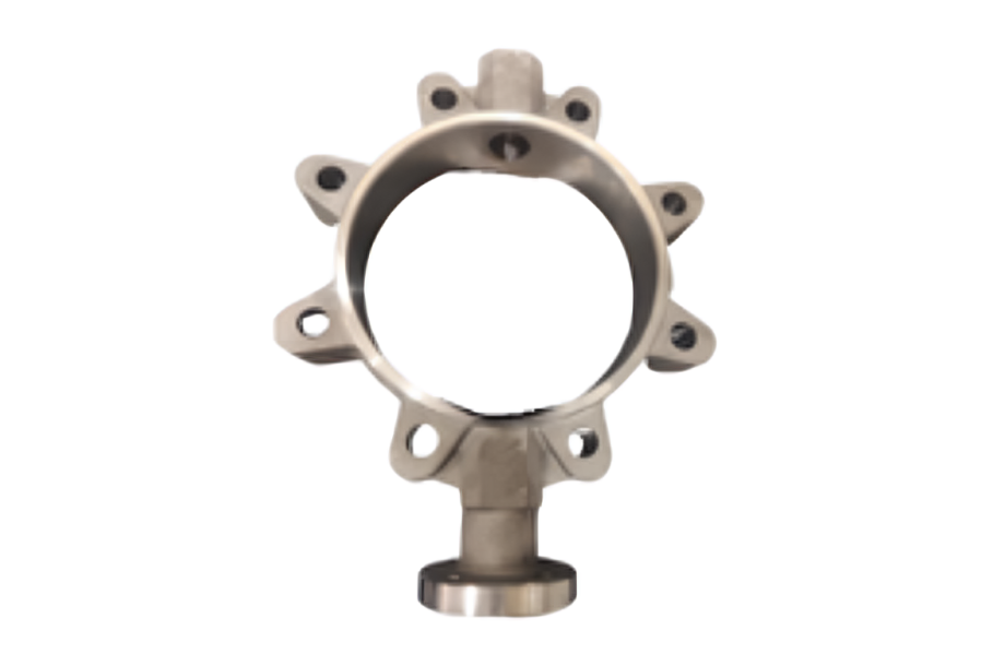 Forest with light rays