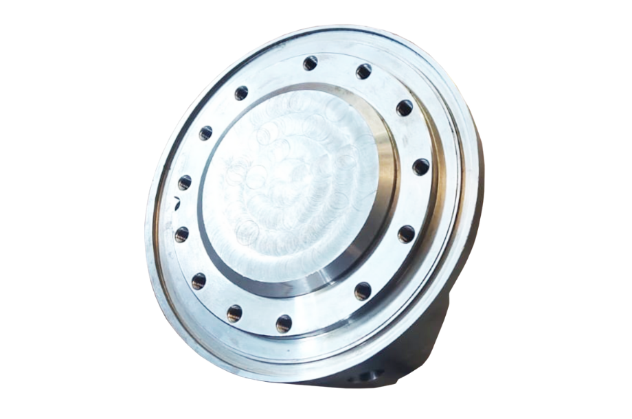 Forest with light rays (full)