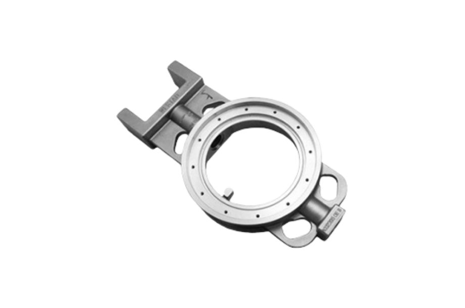 Forest with light rays (full)